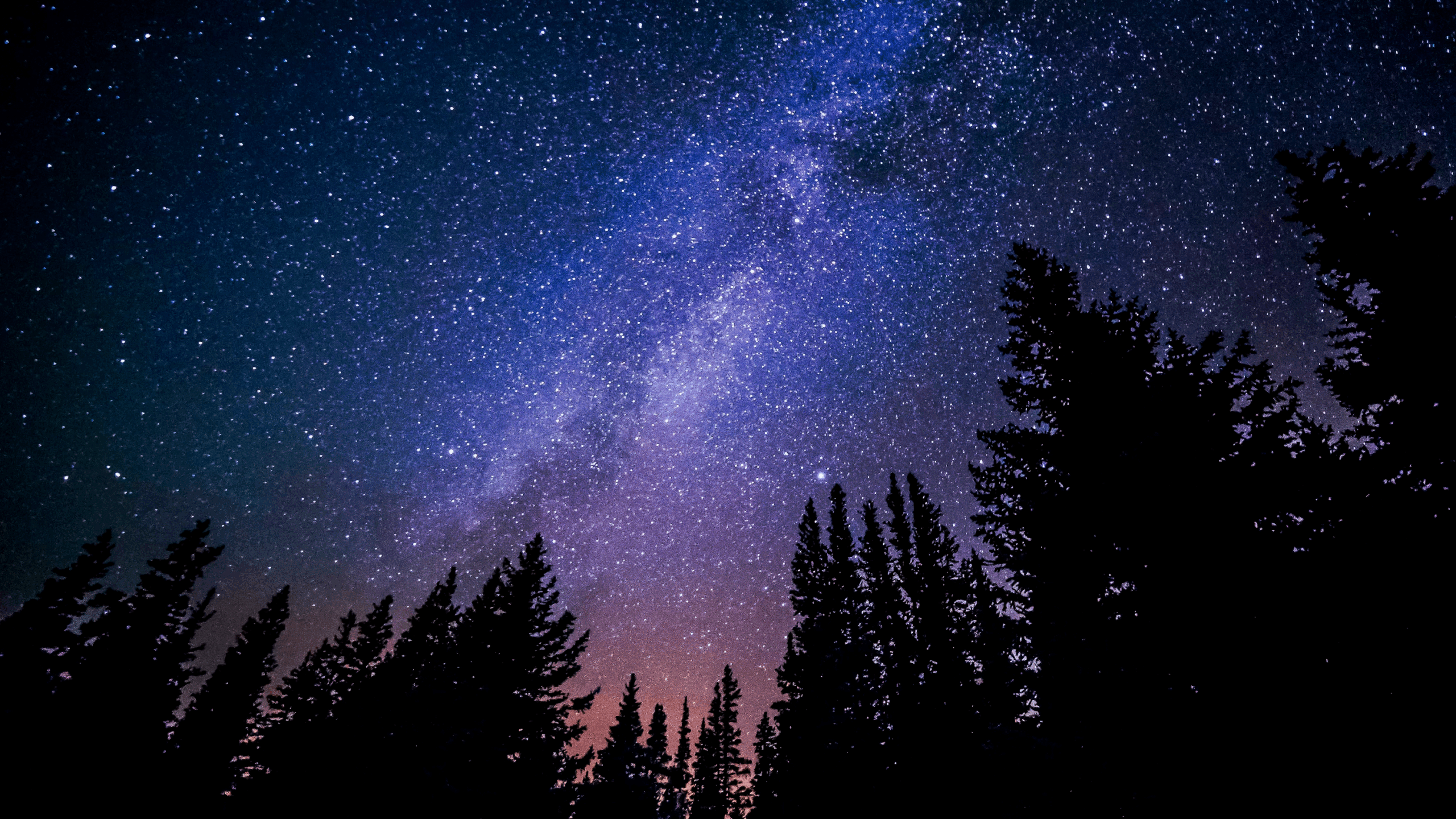 Şubat 2026 Burçların yol haritası